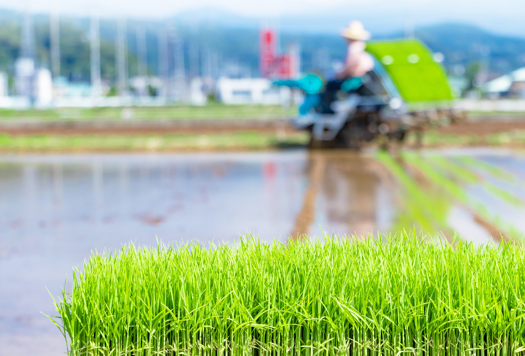 CHANGE for CHALLENGE by RICE MISSION