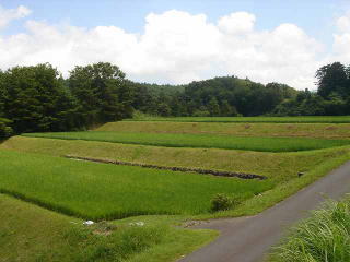 �t���[��