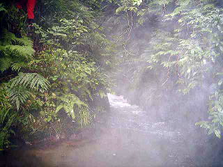 �t���[��