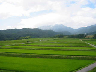 �t���[��