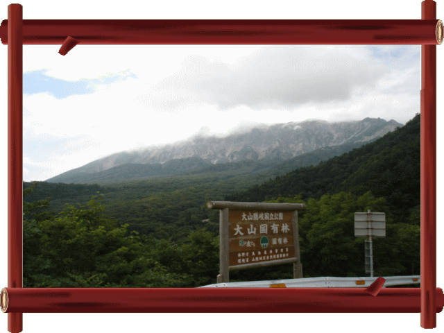 �t���[��