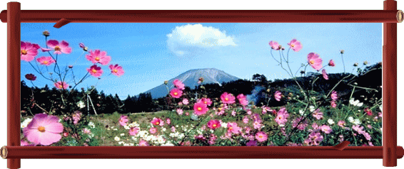 �t���[��